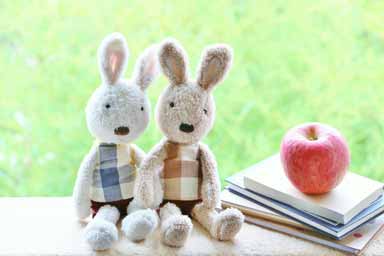 ダイエットヒプノセラピーイメージ画像2